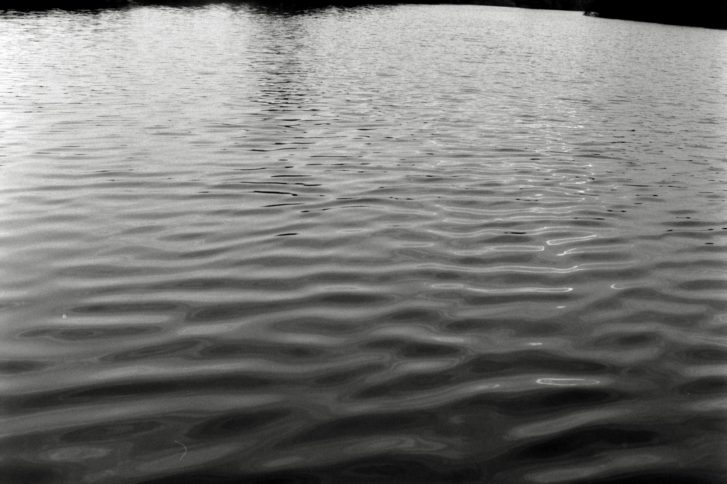 AHP F1990 09 005 sc250506 img22 NLP